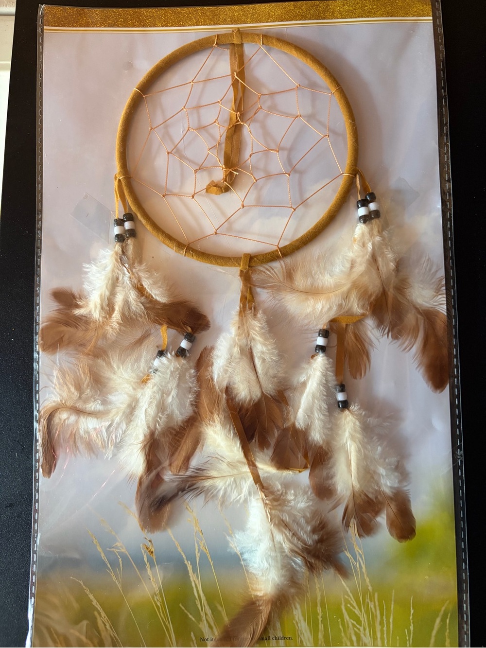 Native American Lakota Sioux 6" Dreamcatcher
New in package